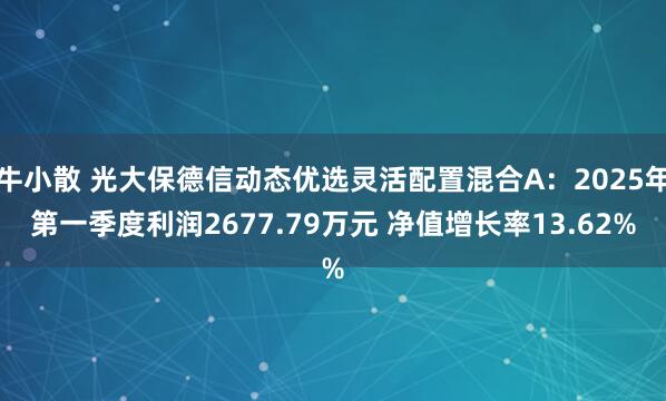 牛小散 光大保德信动态优选灵活配置混合A：2025年第一季度利润2677.79万元 净值增长率13.62%