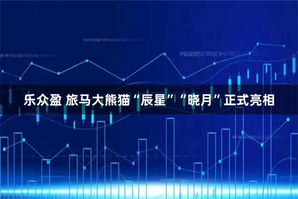 乐众盈 旅马大熊猫“辰星”“晓月”正式亮相