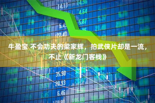 牛盈宝 不会功夫的梁家辉，拍武侠片却是一流，不止《新龙门客栈》