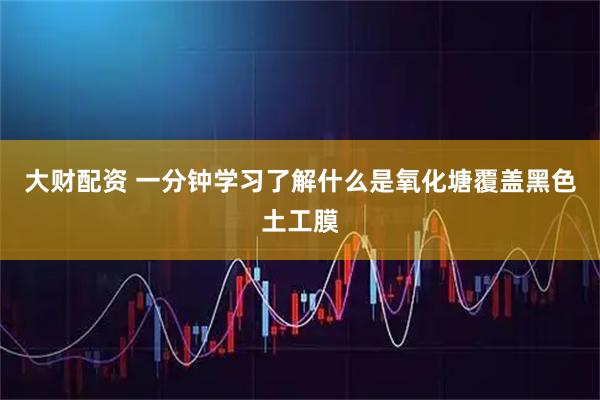 大财配资 一分钟学习了解什么是氧化塘覆盖黑色土工膜