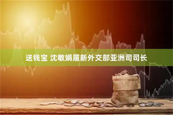 送钱宝 沈敏娟履新外交部亚洲司司长